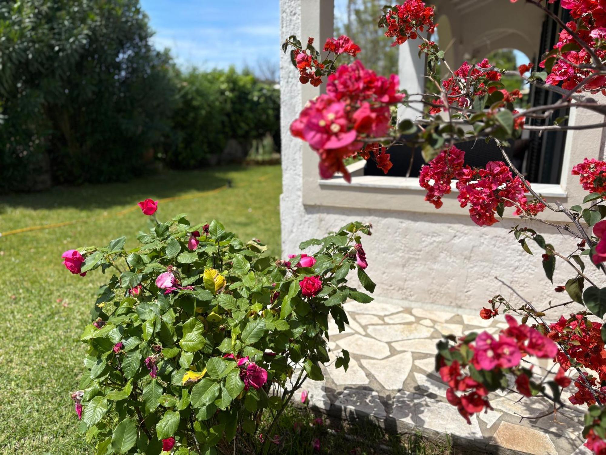 Sirios Daire Acharavi  Dış mekan fotoğraf